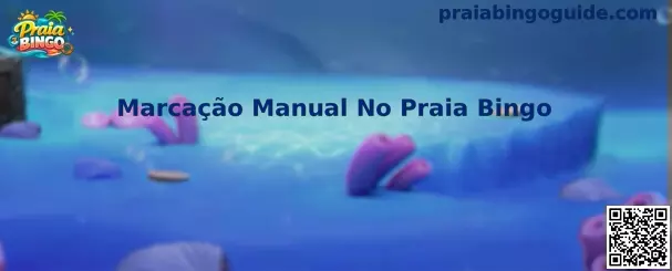 Marcação Manual No Praia Bingo
