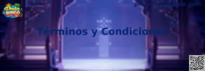 Información sobre los Términos y Condiciones de Praia Bingo